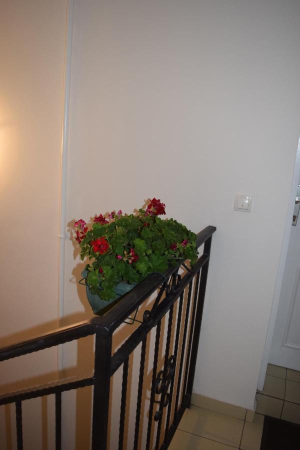 Apartamento Nadja Novi Sad Exterior foto